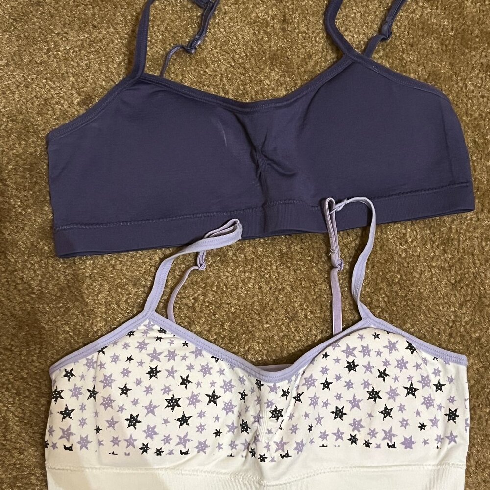 Lot of 2 Haines training bras, NWOT